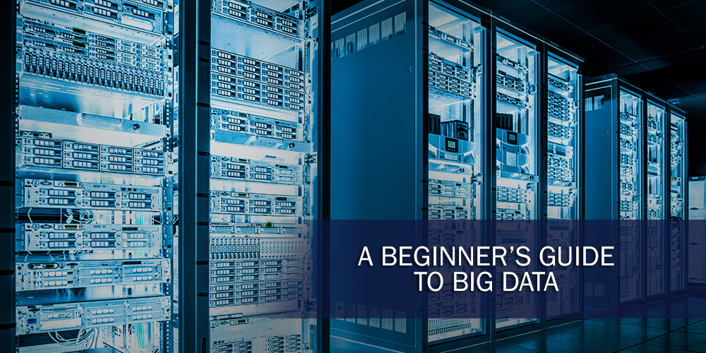 beginners guide to big data