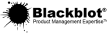 blackblot_logo 1