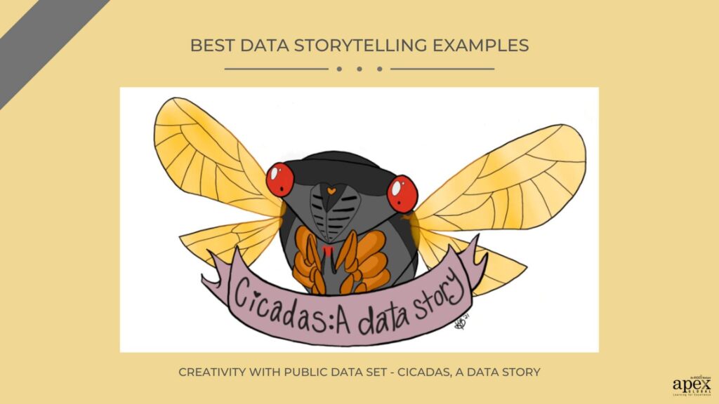 Cicadas, A Data Story