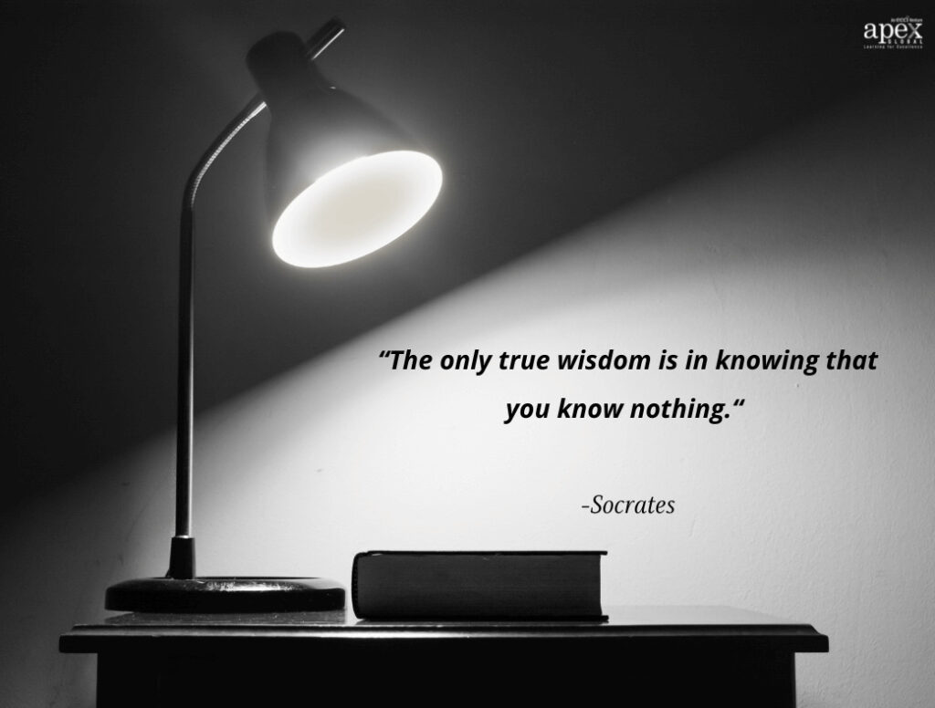 The only true wisdom is in knowing that you know nothing - quote by Socrates