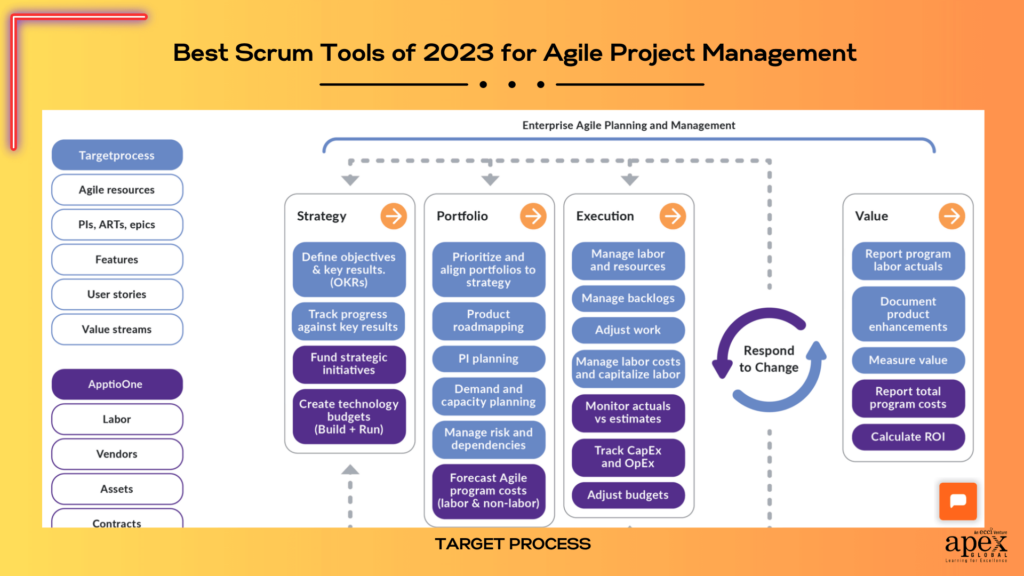 Target Process