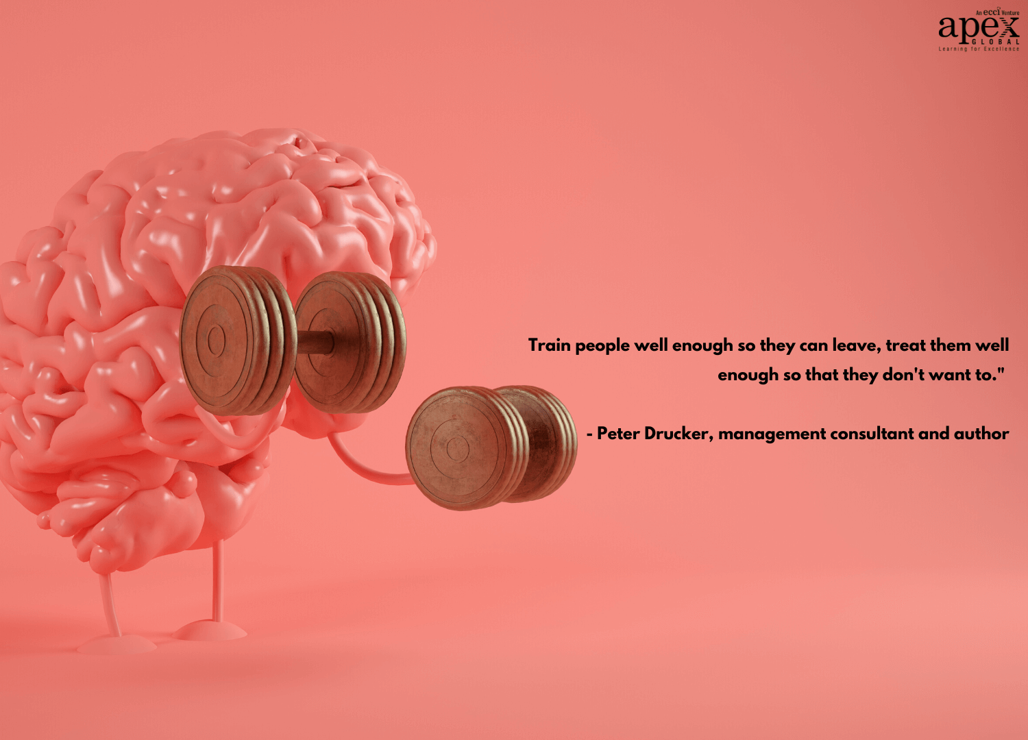 How Should You Choose Your Training Provider APEX Global