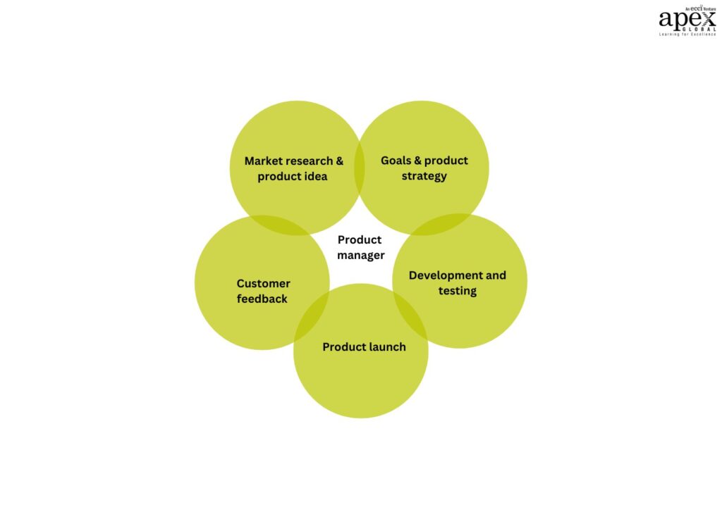 Product manager: 1. Market research & product idea 2. Goals & product strategy 3. Development and testing 4. Product launch 5. Customer feedback