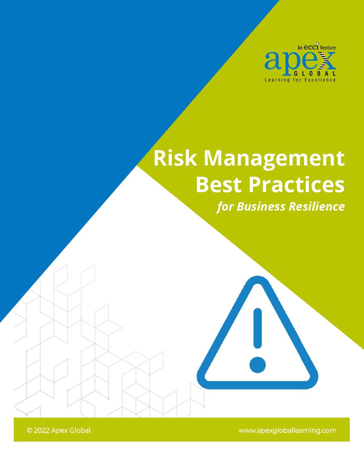 Risk Management Best Practices - APEX Global